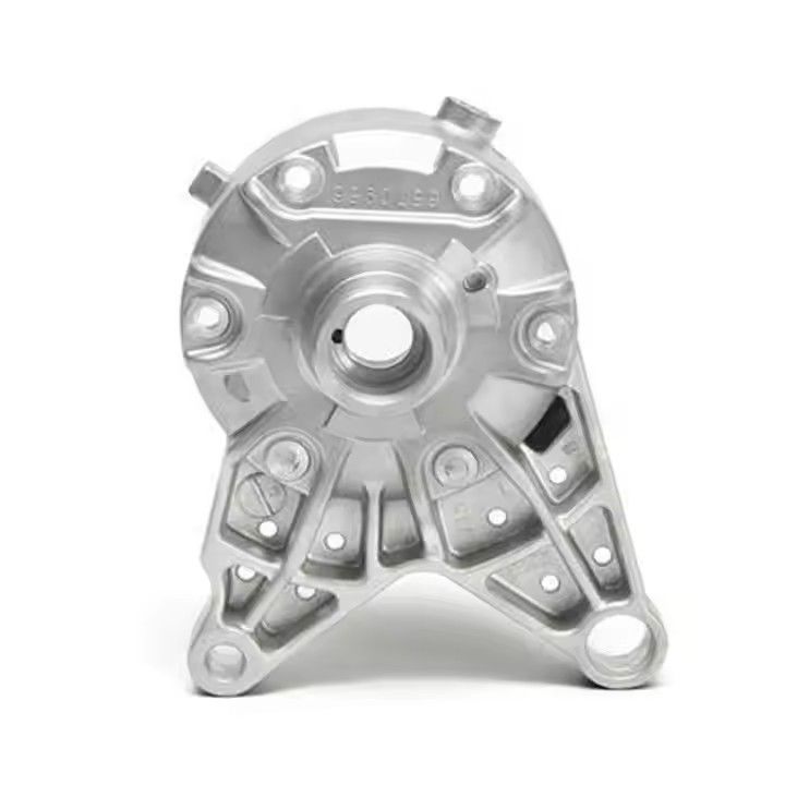 Custom Professional Foundry Centrifugal Iron Die Casting Mold For Aluminum Zinc Alloy Stainless Steel Plunger Tip Prototype Part